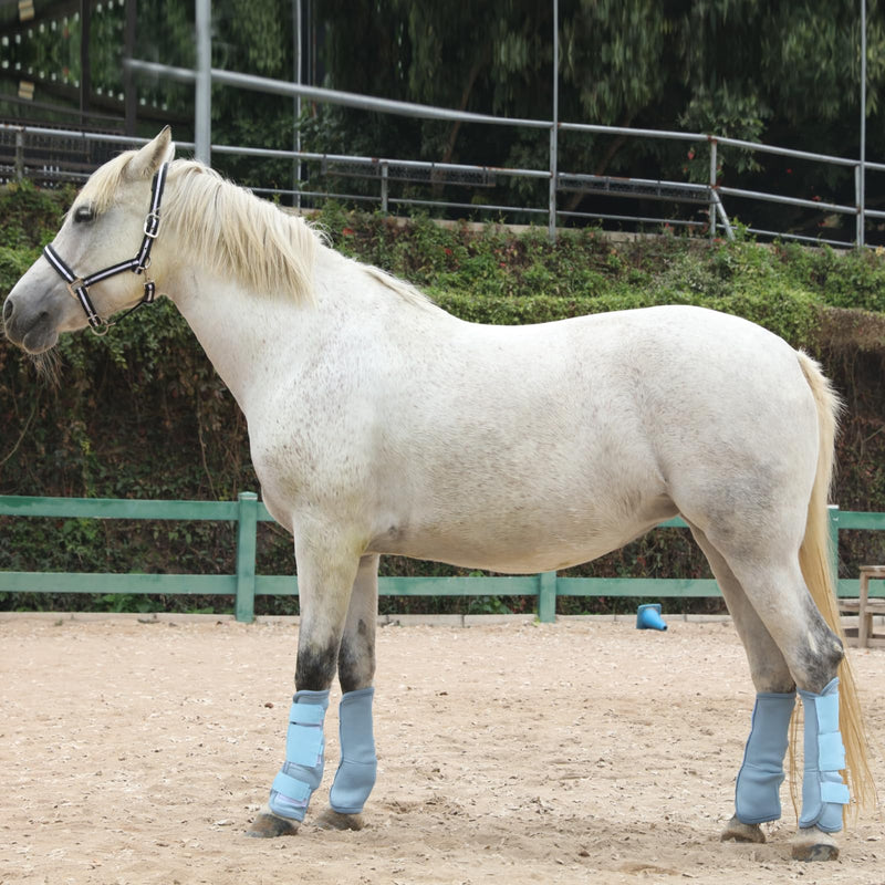 Horse Fly Boots Set of 4, Breathable Comfy Mesh Fly Boots for Horses, Non-slip Horse Fly Leggings No More Stomping & Horsefly Nuisance Lightblue Pony Light Blue - BeesActive Australia
