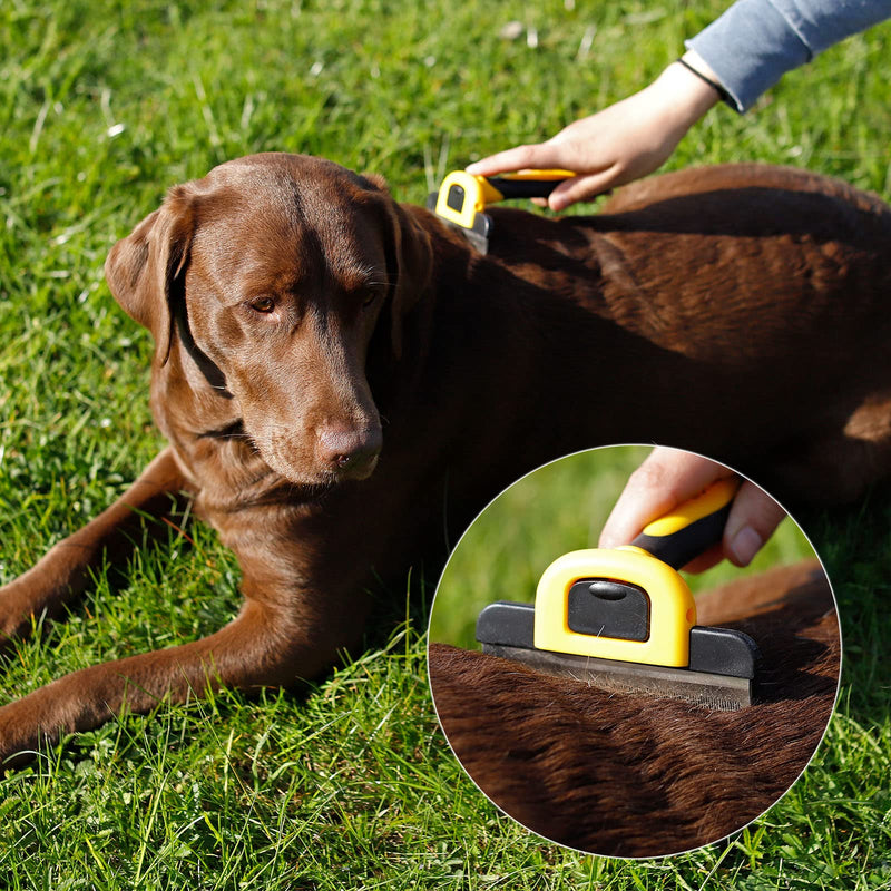 lionto undercoat brush, non-slip handle & removable blade, wide, brush for dogs & cats, gentle grooming & rounded bristles, dog brush suitable for long & short fur, rustproof undercoat brush, wide - BeesActive Australia