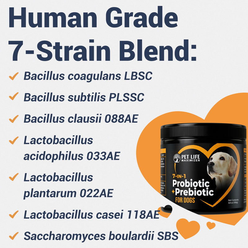 7-in-1 Probiotic + Prebiotic for Dogs. For Digestive Health, Yeast, Itchy Skin, Itchy Ears, Paw Licking. Dog Gut Health Probiotics Supplement 5 Billion CFU Multi-Strain Formula. Daily Powder Topper