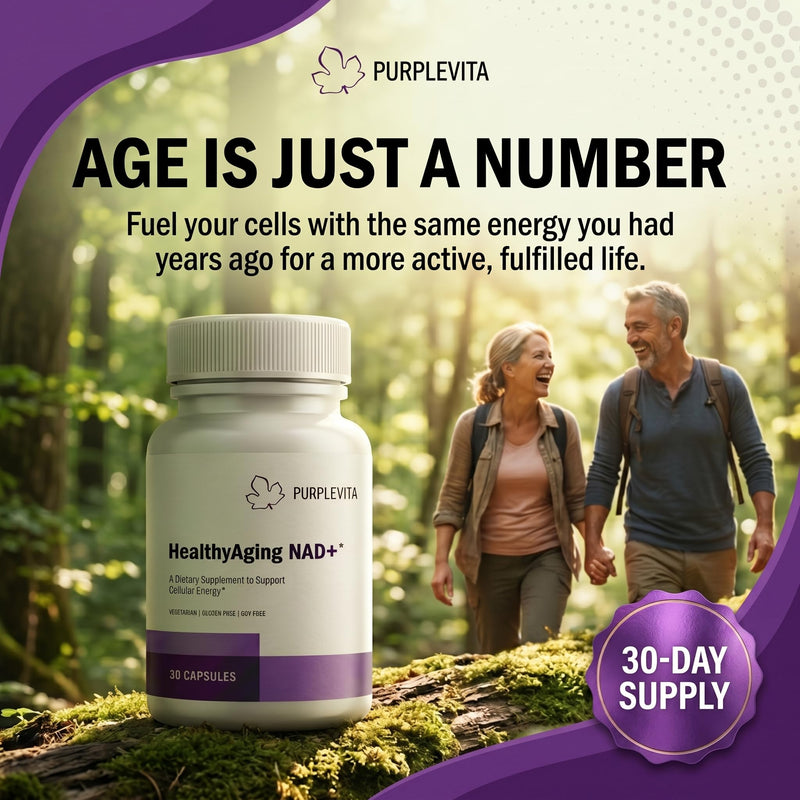 NAD + Plus Supplement Healthy Aging with RiaGev®-WS™, Vitamin C & Niacin, Cellular Energy, Metabolism and Stress Support*, Vegetarian, Gluten-Free & Soy-Free 1 Capsule Daily