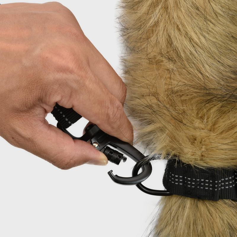 Skruffie’s Love Double Dog Leash, Reflective Dual Dog Leash Shock Absorbent, Anti Tangle Rope Bungee 2 Dogs Leashes for Medium Large Dogs (Black) Black - BeesActive Australia