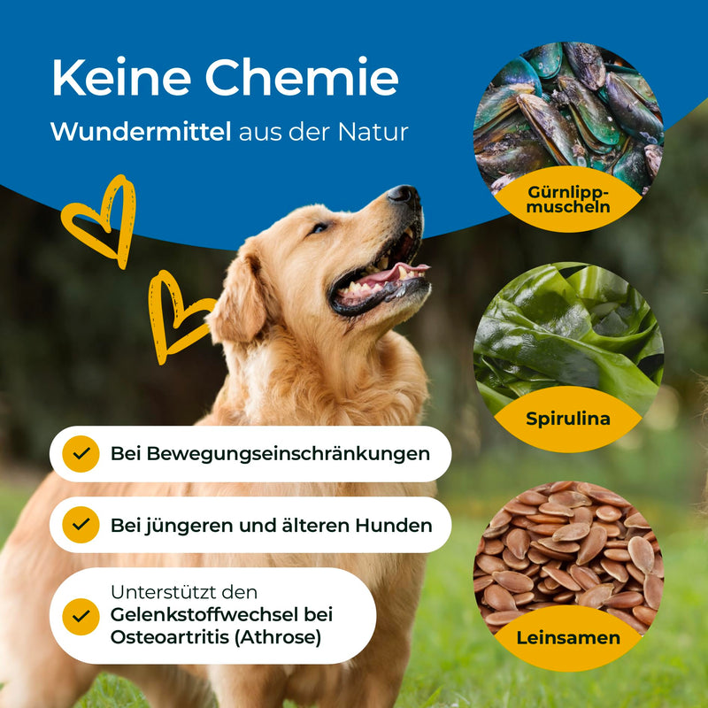 Hundpur Joints 300g - Supplementary food to support joint metabolism in osteoarthritis - With green-lipped mussel, glucosamine & MSM - BeesActive Australia