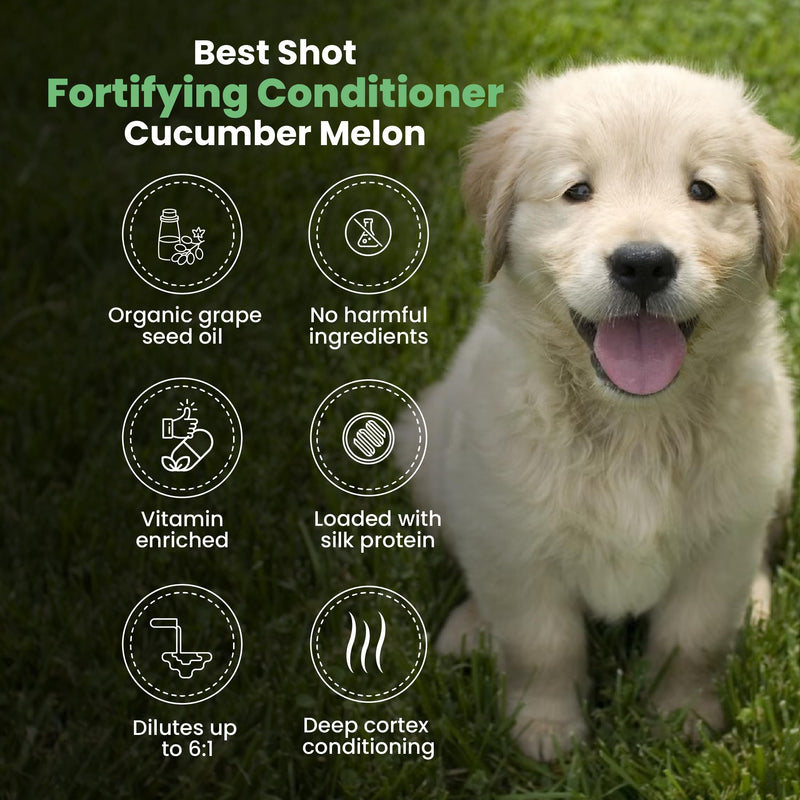 Best Shot Scentament Spa Fortifying Puppy Conditioner, Ideal Skin Care Product, for Deep Cortex Conditioning, Cucumber Melon, 16 Ounces 16 fl oz - BeesActive Australia