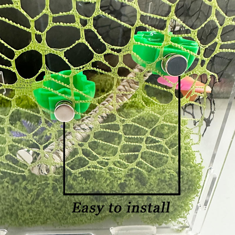 2 PCS Jumping Spider Feeding Dish, Leaf Shape Tiny Food Dishes Water Bowl with 1PC Tweezer and 1PC Dropper for Jumping Spider, Tarantula and Other Small Pets - BeesActive Australia
