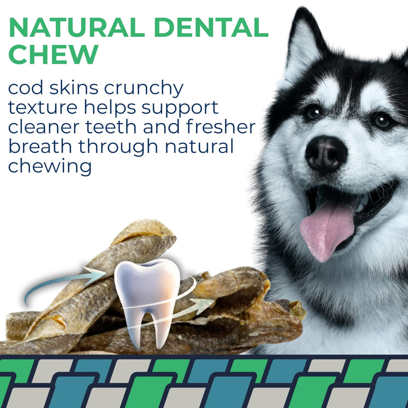 Momentum Carnivore Nutrition Tiny Cod Twists Dog Chews – Single Ingredient Icelandic Cod Skin Treats – Natural Dental Support, High-Protein Fish Chews – 3.1 oz Bag 3.1 Ounce (Pack of 1)