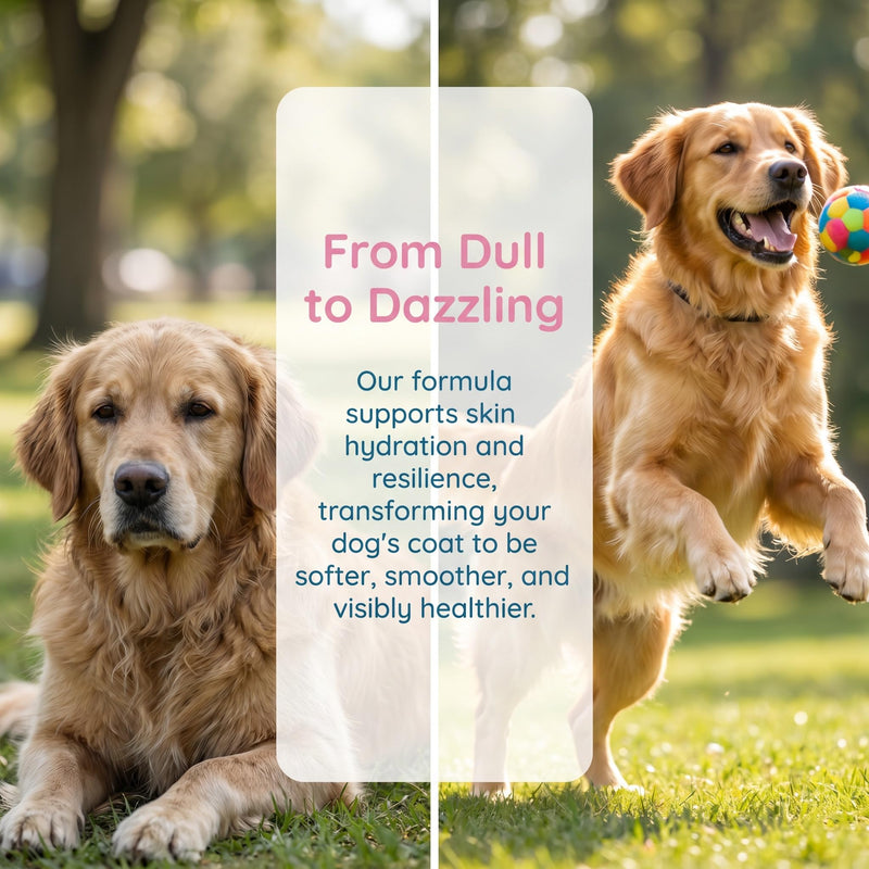 Collagen for Dogs, Premium Liquid Collagen for Dogs, Support for Skin & Joints & Gut & Overall Vitality, 60ml/2floz