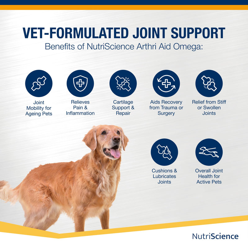 NutriScience Arthriaid Omega Dog Joint Supplement – Glucosamine, Chondroitin, MSM & Omega 3 – Supports Mobility, Relieves Stiffness & Promotes Cartilage Repair – 250ml 250 ml (Pack of 1)