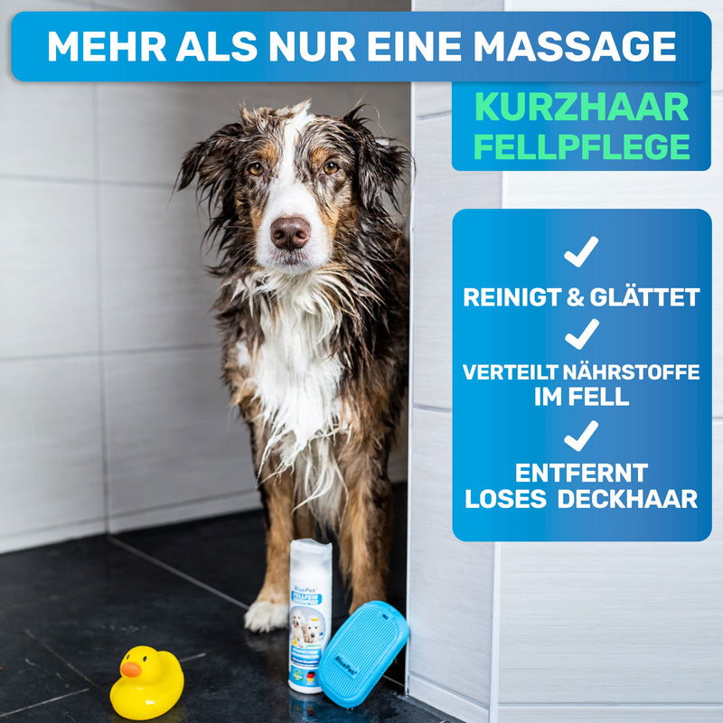 BluePet FellFein bath brush rubber curry comb for short-haired dogs and cats with massage effect - removes loose top hair, dust and dirt - ideal bath curry comb - BeesActive Australia