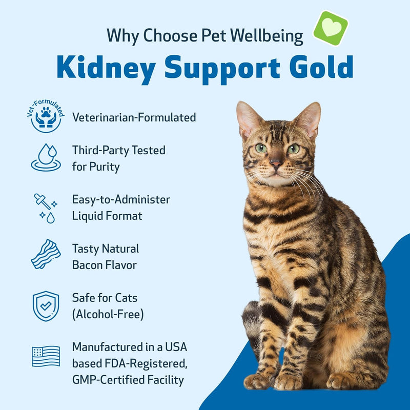 Pet Wellbeing Kidney Support Gold for Cats - Supports Healthy Kidney Function, Fluid Balance, Energy Levels, Rehmannia, Dong Quai - Veterinarian-Formulated Herbal Supplement 2 oz (59 ml) 2 Fl Oz (Pack of 1) - BeesActive Australia
