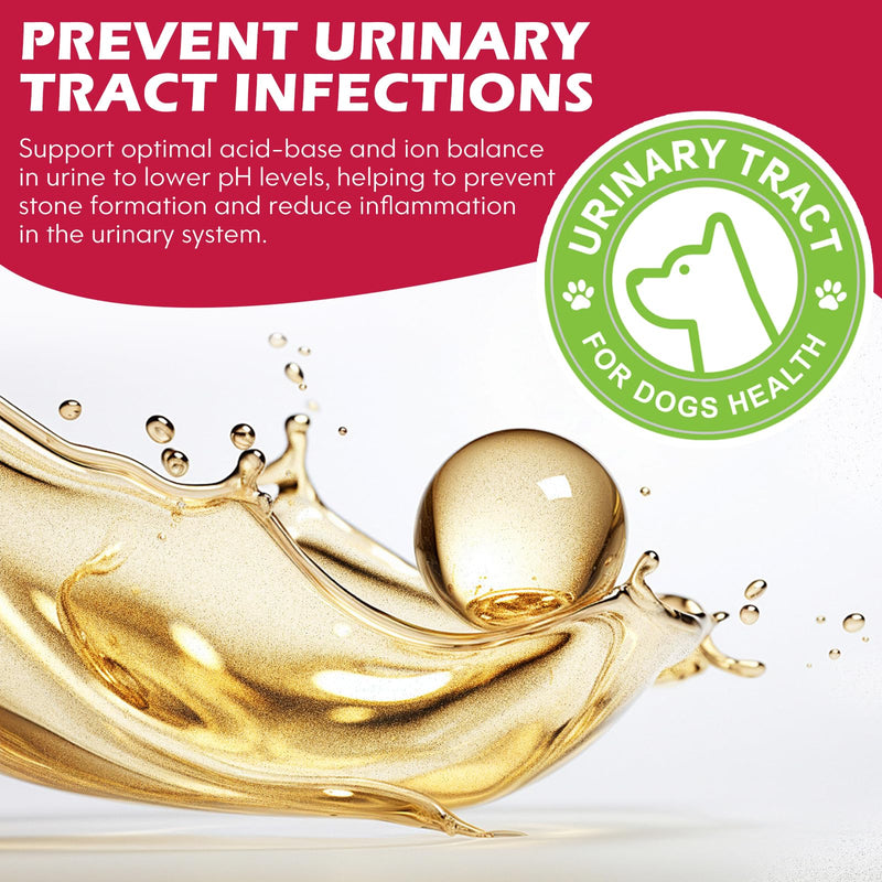 ZTSMSWY Dog Urinary Tract Infection Treatment, Dog UTI Treatment, Natural UTI Care Drops, Prevention Incontinence & Bladder Stones, Keep Pet Renal Health & UTI Care Drops 60ML - BeesActive Australia
