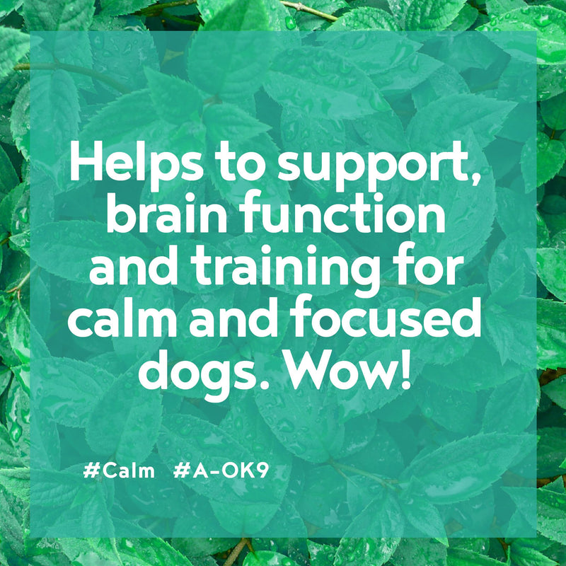 Calming Tablets for Dogs - 60 Tabs, Aids Anxiety Relief, Fireworks, Stress & Barking - Tasty Treats Calming Supplement for Dogs - Natural Ingredients that Improves Behaviour - All Ages & Breeds Tablet Adult 60 Tab