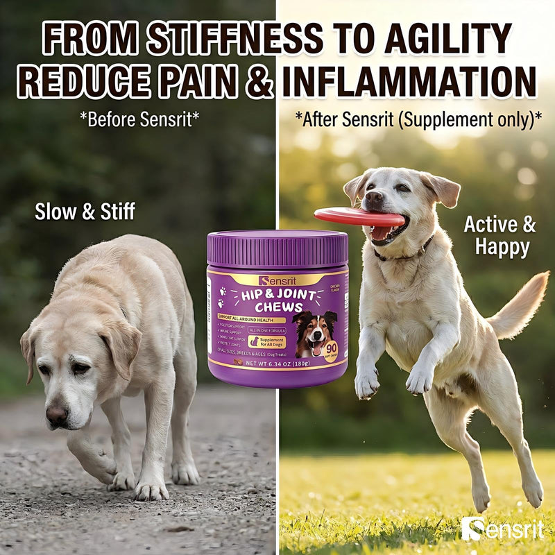 Hip and Joint Chews for Dogs - All-in-One Mobility Support with Glucosamine, MSM, Chondroitin & Green Lipped Mussel - 90CT Chicken Flavor - Helps with Dog Stiffness, Limping & Recovery.