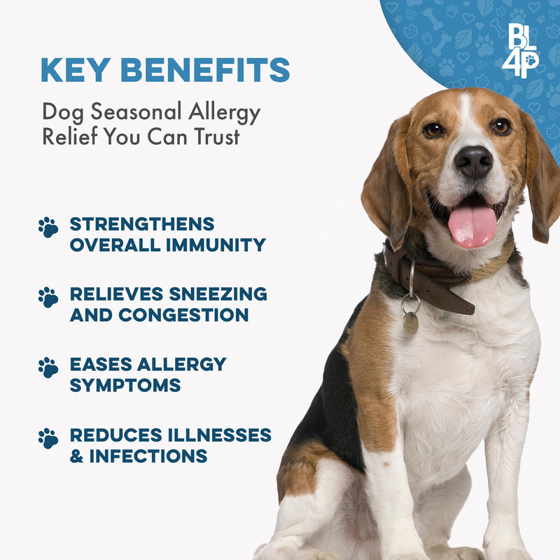 Dog UTI Treatment, Bladder & Kidney Support, Natural Incontinence and Bladder Control for Dogs Reduces Urinary Tract Infections and Dog Allergy Relief & Immune Support, Natural Holistic Itch Relief