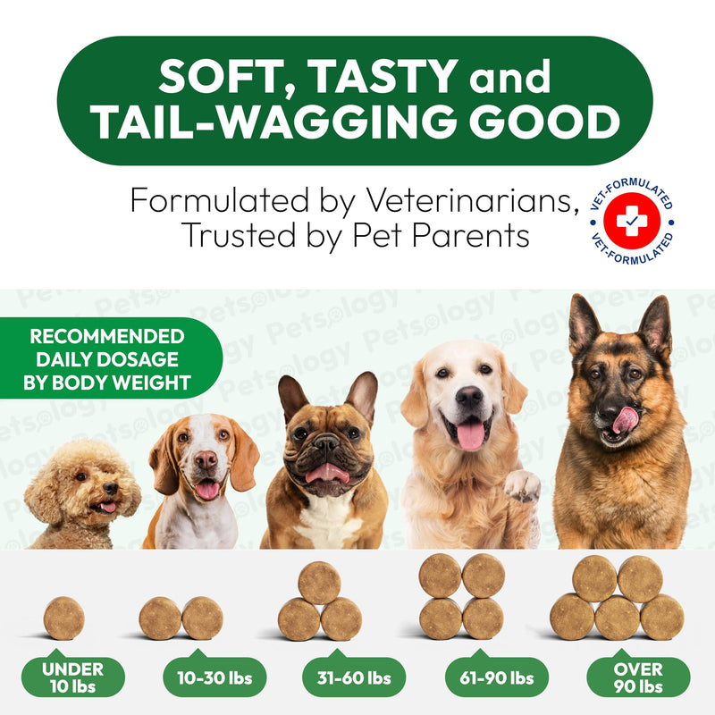 Flea and Tick Prevention for Dogs Pills - 250 Soft Chews - Natural Dog Flea & Tick Control - Oral Defense Treatment for Dogs Supplement - Vet Formulated Chews - All Breeds & Ages - Made in USA 250 Chews