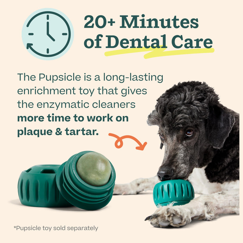 Woof Doggy Dental Pupsicle Mix - Dog Teeth Cleaning Powder for the Pupsicle - Long Lasting Postbiotic Dental Enzyme Mix to Support Oral Health for Dogs Dental Mix