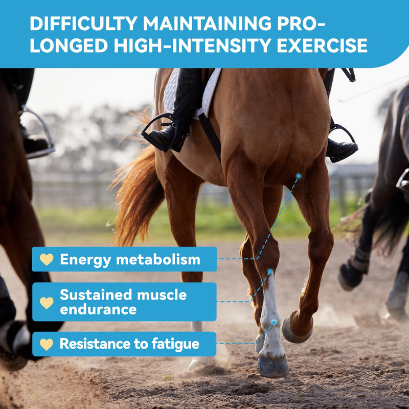 Horse Calming Support Powder – Helps Maintain Relaxed Behavior & Focus | Equine Taurine & Magnesium Blend | 15-Day Supply Box