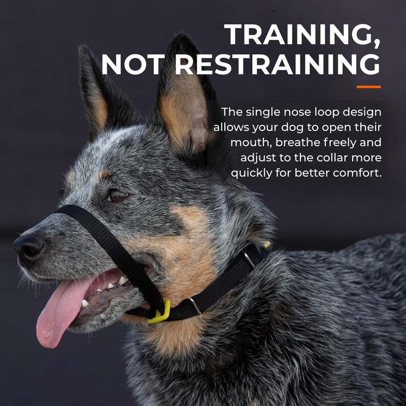 Canny Collar No-Pull Dog Collar - The Kind, Gentle Head Collar for Dogs| Dog Training Tool for Easier Dog Walking | Red - Size 6 Size 6 - 48-53cm (19"-21") - BeesActive Australia