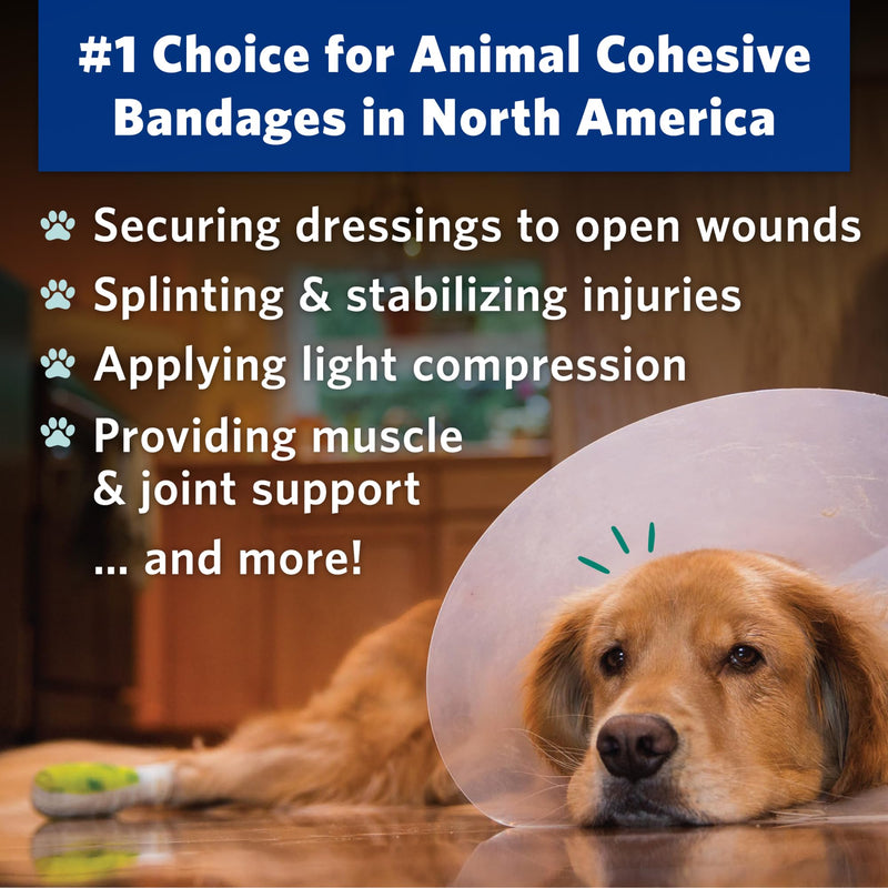PetFlex Pet Pack – Flexible Self-Adhering Elastic Bandage for Wound Care – First Aid Wrap for Small Animals Like Dogs, Cats, and Other Pets - 2 inch, 6 Rolls 6 Count - BeesActive Australia