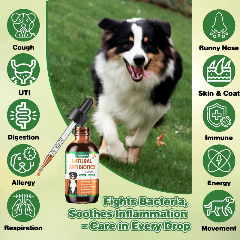 2pcs Natural Antibiotics for Dogs & Natural Yeast Relief for Dogs, for Skin Issues, Itch Relief, Dog Ear Discomfort Care, Itch Relief for Dog, Allergy Supports for Pets, Supports Skin Health - 60 ml