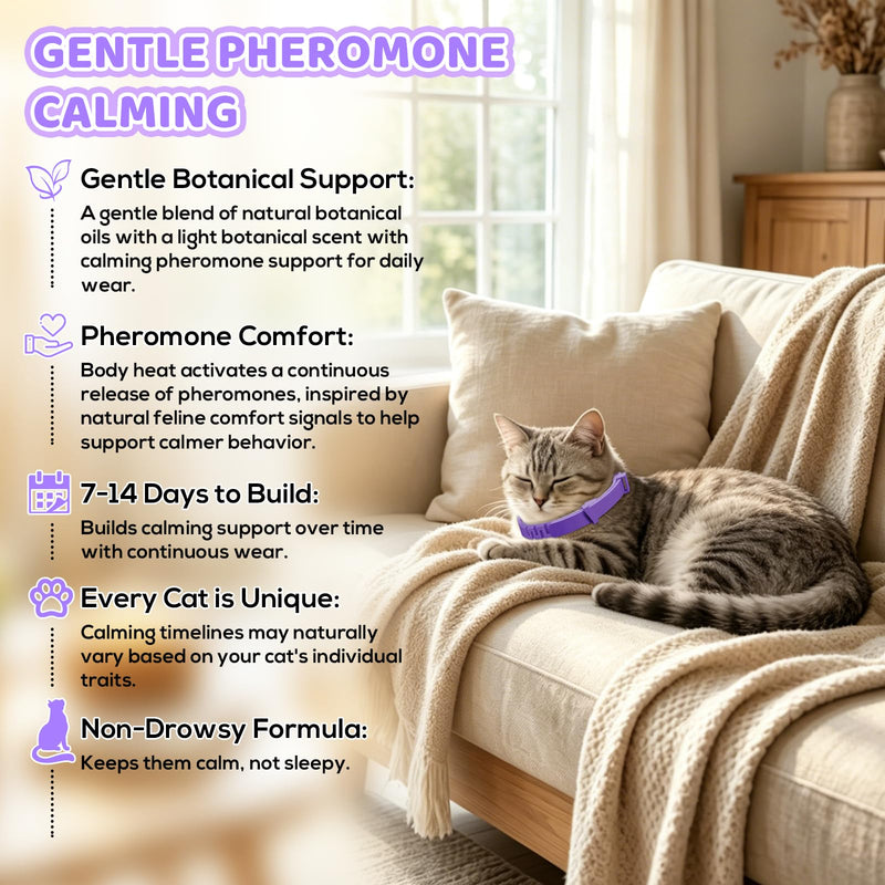 Calming Collar for Cats, 4 Pack Cat Pheromone Collar, 60-Day Each, 240 Days Total, Adjustable 15 Inch Cat Calming Collars for Indoor Cats, Water Resistant, Purple