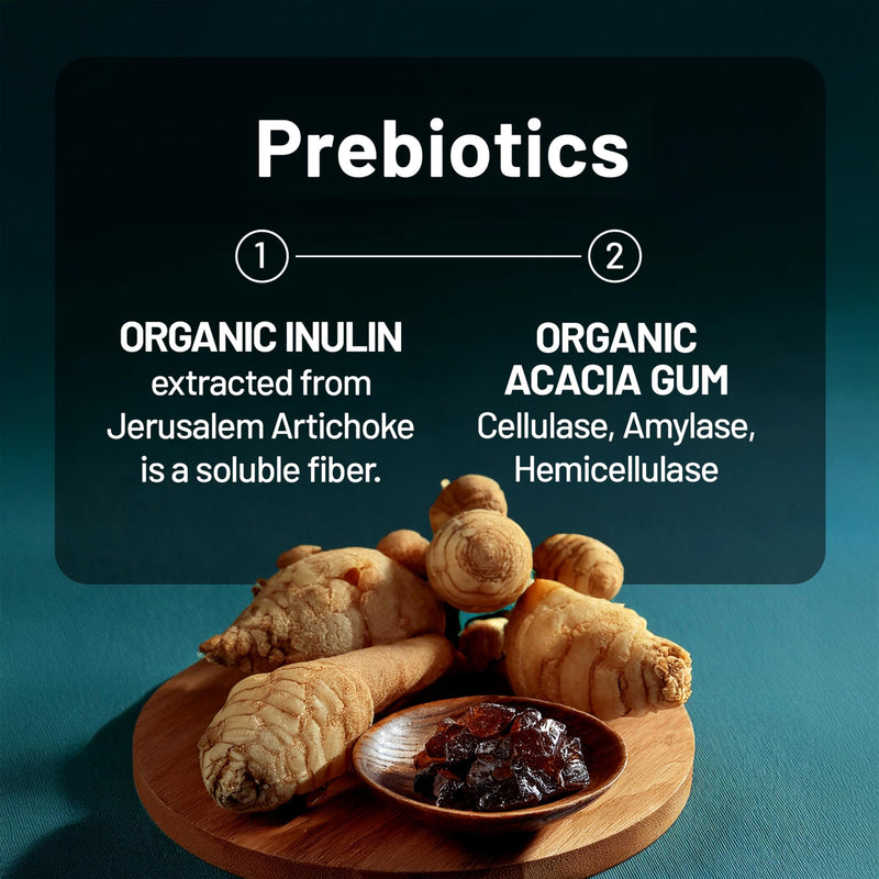 NatureWise Probiotics 60 Billion CFU - 17 Strains + Organic Prebiotics - Immune, Digestive & Gut Health Support for Women & Men - Vegetarian, Gluten-Free, Non-GMO - 30 Capsules[1-Month Supply] 30 Count (Pack of 1) - BeesActive Australia