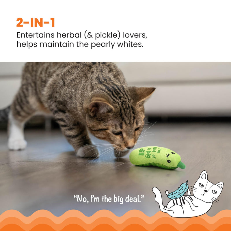 Catstages Crunchy Pickle Kicker Dental Catnip Cat Toy - BeesActive Australia