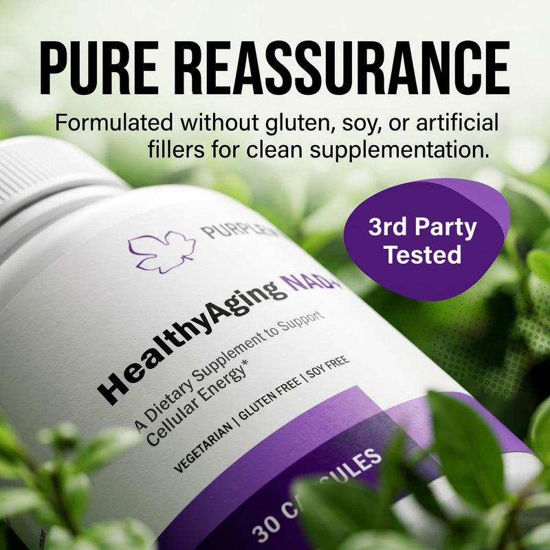 NAD + Plus Supplement Healthy Aging with RiaGev®-WS™, Vitamin C & Niacin, Cellular Energy, Metabolism and Stress Support*, Vegetarian, Gluten-Free & Soy-Free 1 Capsule Daily
