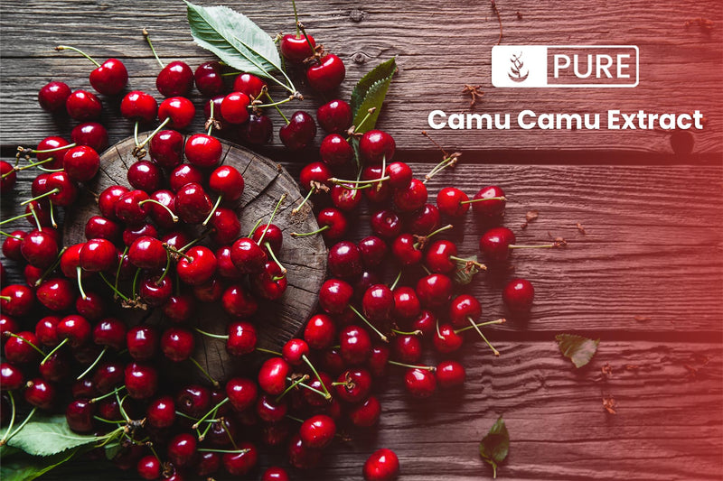 PURE ORIGINAL INGREDIENTS Camu Camu (1lb) Vitamin C, Brazilian Superfood, Lab-Verified, Non-GMO 16 Ounce (Pack of 1)