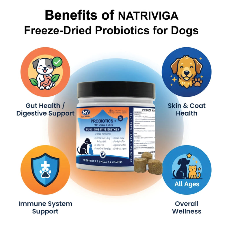 Freeze-Dried Probiotics for Dogs - Support Gut Health, Itchy Skin, Allergies, Immunity, Yeast Balance - Plus Digestive Enzymes, Omega-3, Zinc & Prebiotics - Reduce Diarrhea, Gas - (Chicken, 120 Chews)