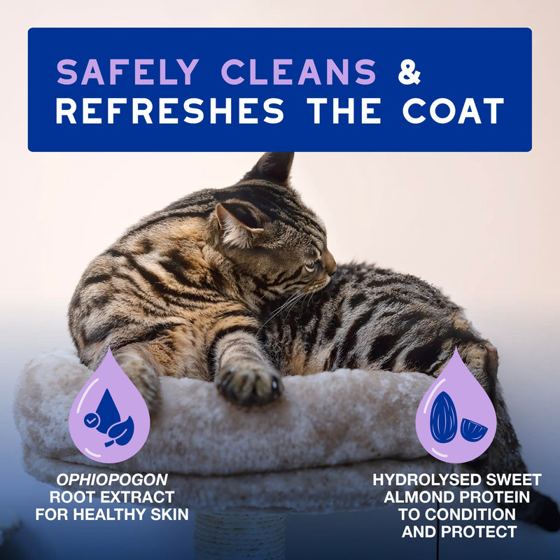 DOUXO Spa Complete Cat Bundle – No-Rinse Mousse & Wipes for for Stress-Free, Waterless Skincare - 97% Natural Ingredients, No Nasties