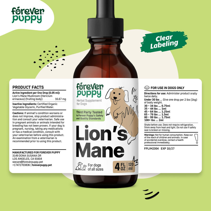 Lion's Mane Mushroom Supplement for Dogs - Brain Health & Focus - Liquid Lions Mane Mushrooms for Dogs - Canine Supplements and Vitamins - Sugar & Alcohol-Free Drops - 4 fl oz - PawsPlanet Australia
