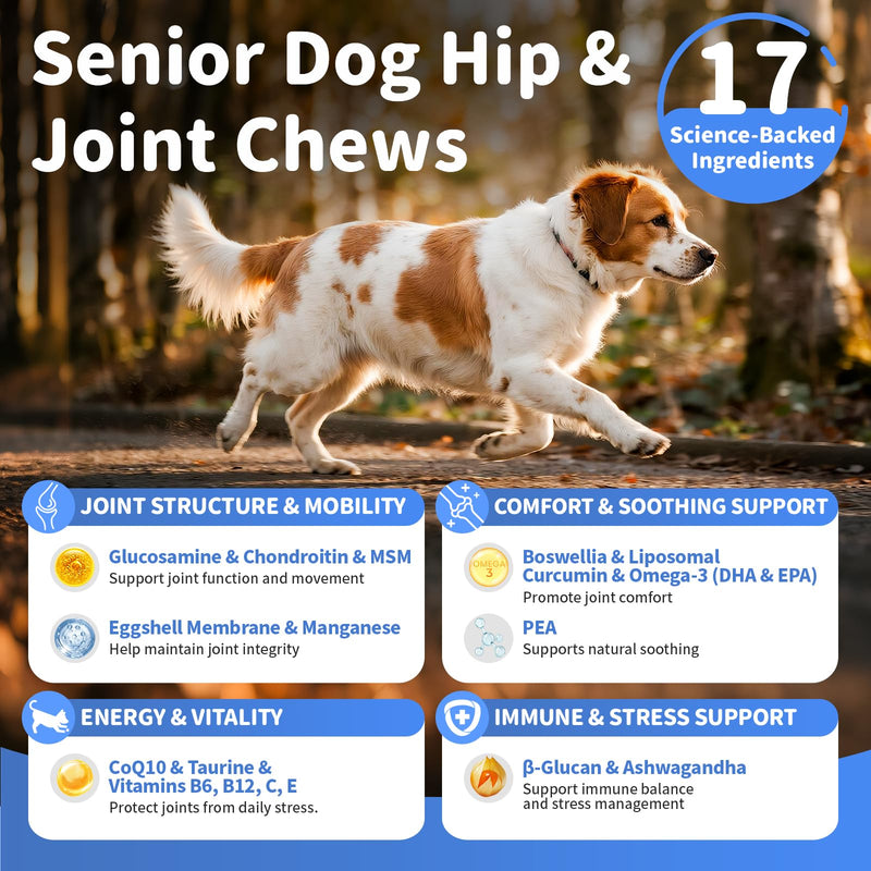 Senior Advanced Joint Supplement for Dogs – 17-in-1 Glucosamine for Dogs with Chondroitin – Hip & Joint Pain Relief Pills – Mobility Support Chews – Large & Small Breeds - Beef Flavor – 90Ct 90 Count (Pack of 1)