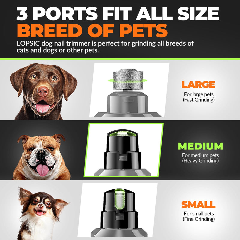 Dog Nail Grinder with 2 LED Lights Powerful 2-Speed Dog Nail Trimmers with 3 Grinding Wheels Super Quiet Rechargeable Pet Dog Nail Clipper Kit for Large Medium Dogs Cats Nail Care Light Grey 🟦🟦🟦Light Grey🟦🟦🟦 - BeesActive Australia