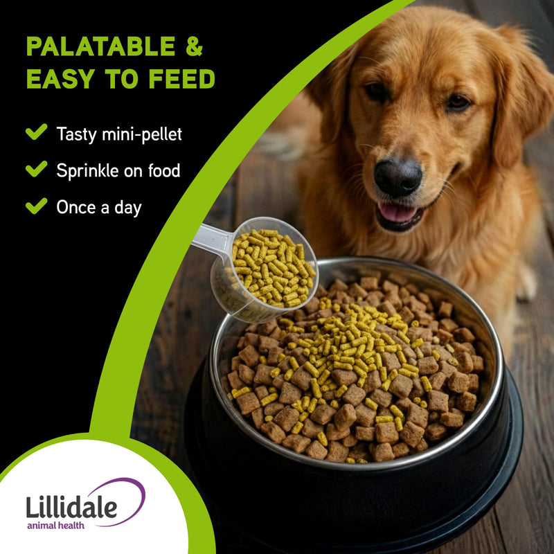 Lillidale ProJoint 500g - Joint Supplement for Dogs with Glucosamine and Chondroitin - Premium Anti-Inflammatory Support - Mobility - Hip & Joints - Soothes Stiffness - Dog Joint Supplement 1 x 500g