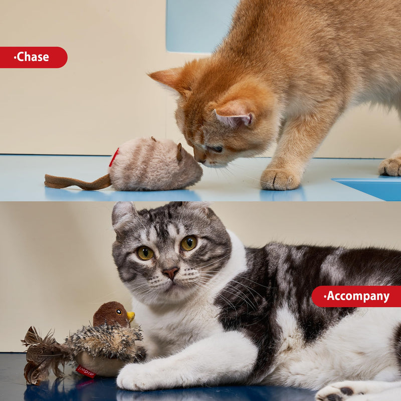 Gigwi Chirping Bird Cat Toy Set, Interactive Chasing Toy for Indoor Cat, Motion Activated Kitten Play Toy, Squeaky Cat Animal Feather Toy for All Breeds Cat Kicker Bird+Mouse - BeesActive Australia