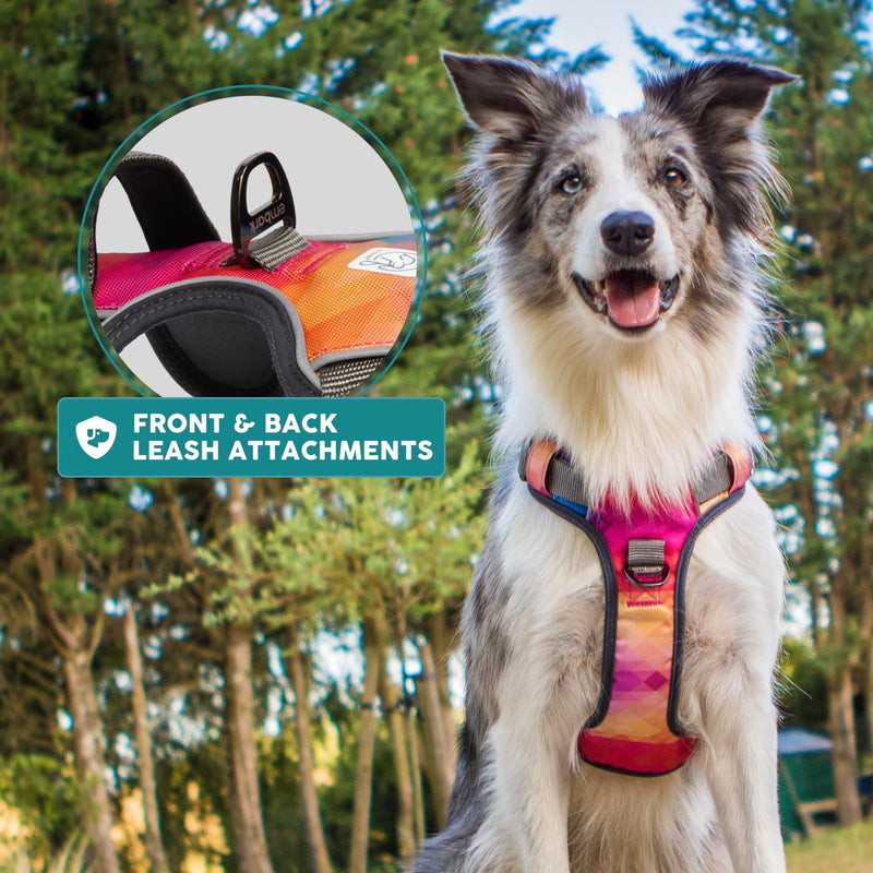 Embark Urban Dog Harness, No-Pull Reflective Trim Dog Harness for Small, Medium & Large Dogs - Military Grade Nylon, 2 Leash Clips & Gel Lined Handle. Soft & Padded Puppy Dog Vest for Any Breed M (Chest: 24-28") Aurora - BeesActive Australia