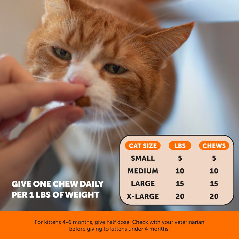 Cat Joint & Calming Support Virtual Bundle – Hip & Joint Health Chews + Calming Chews, 30 Day Supply Each