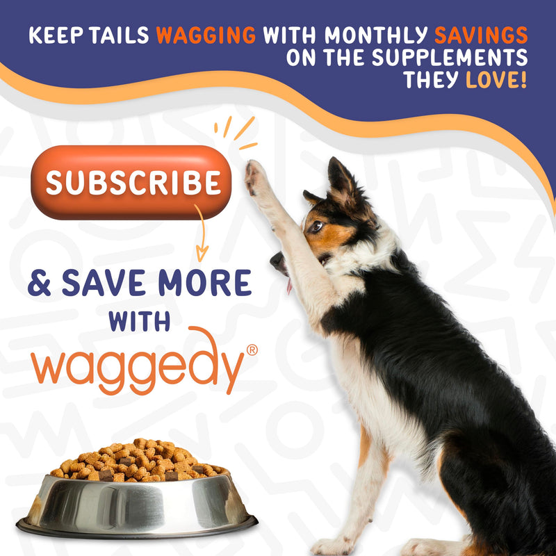 waggedy Omega Max Chews for Dogs with Salmon Oil & Flaxseed — Dog Essentials for Shiny Coats & Healthy Skin — Dog Supplements & Vitamins (60 Chews) Skin and Coat Supplement 60 Count