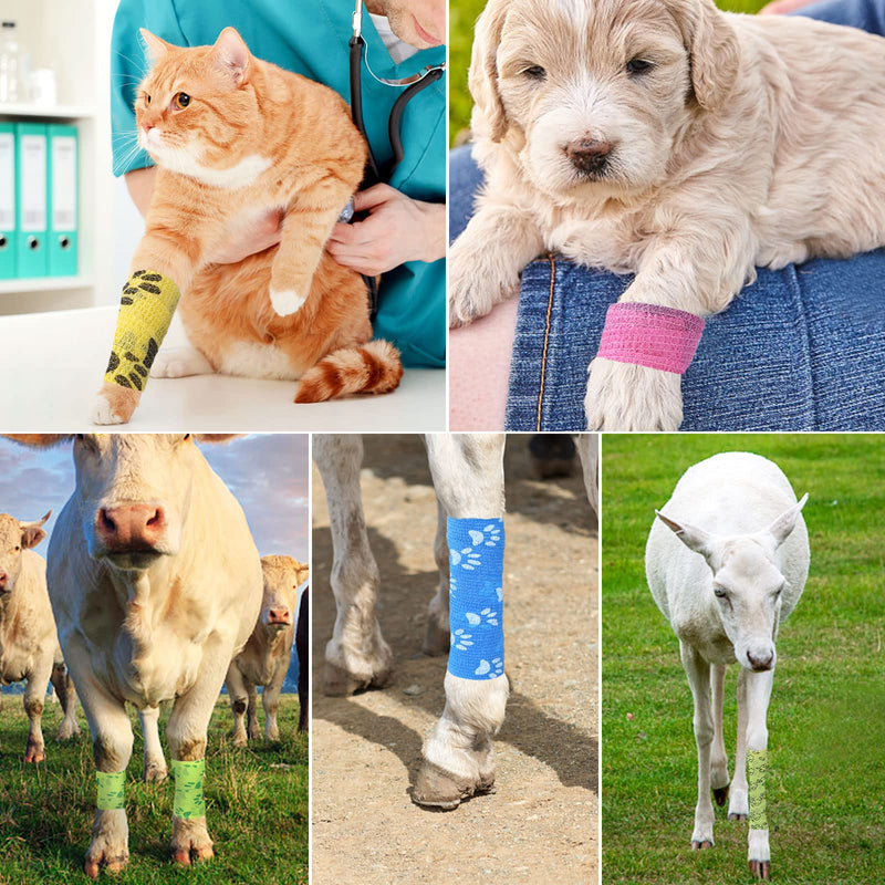 UNIDEAL 14 Rolls Self-Adhesive Bandage for Pets, Multifunctional Adhesive Bandage, 12 Patterns, Comfortable and Breathable, Elastic Fixing Bandage for Pet Care and Sports Protection (5 cm x 4.5 m) - BeesActive Australia