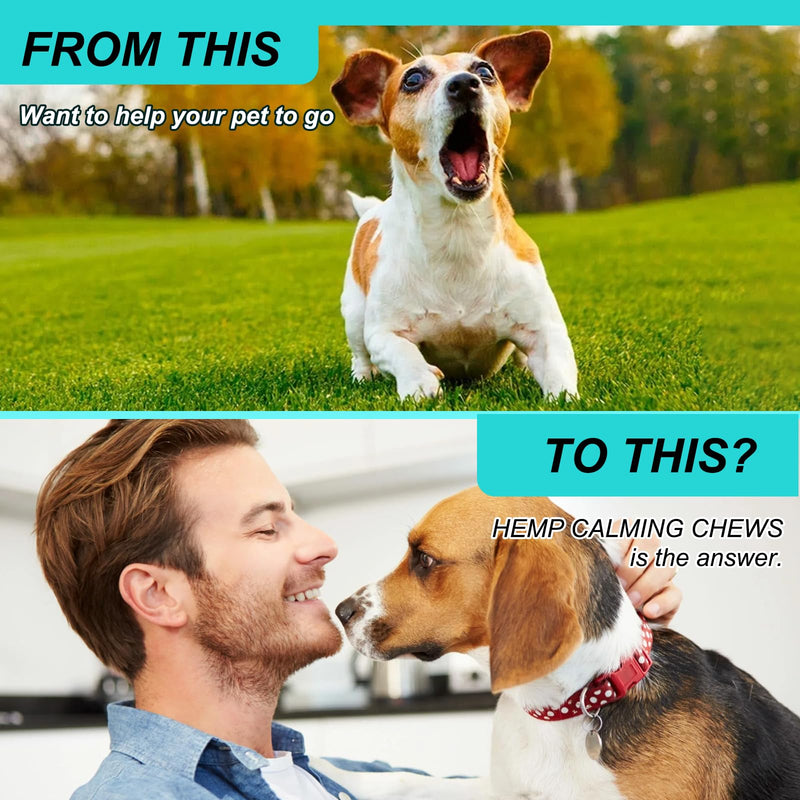 Calming Chews for Dogs with Anxiety and Stress - 60 Soft Dog Calming Treats - Storms, Barking, Separation - Valerian Root - Melatonin, Dog Anxiety Relief (Peking Duck) Peking Duck