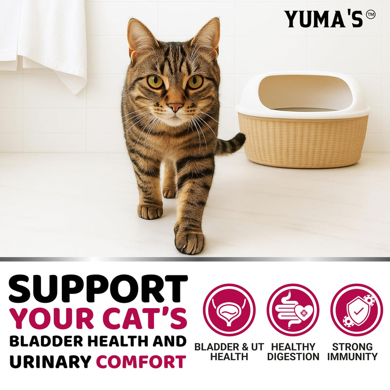 Cat Urinary Tract Health - Cranberry Supplement for Cats - Promotes Healthy Digestion & Normal Bladder Function - Probiotics - Vitamins and Food Supplements - Immune & Multivitamin Support Chews Cat Urinary & Bladder Multivitamin 120 Chews