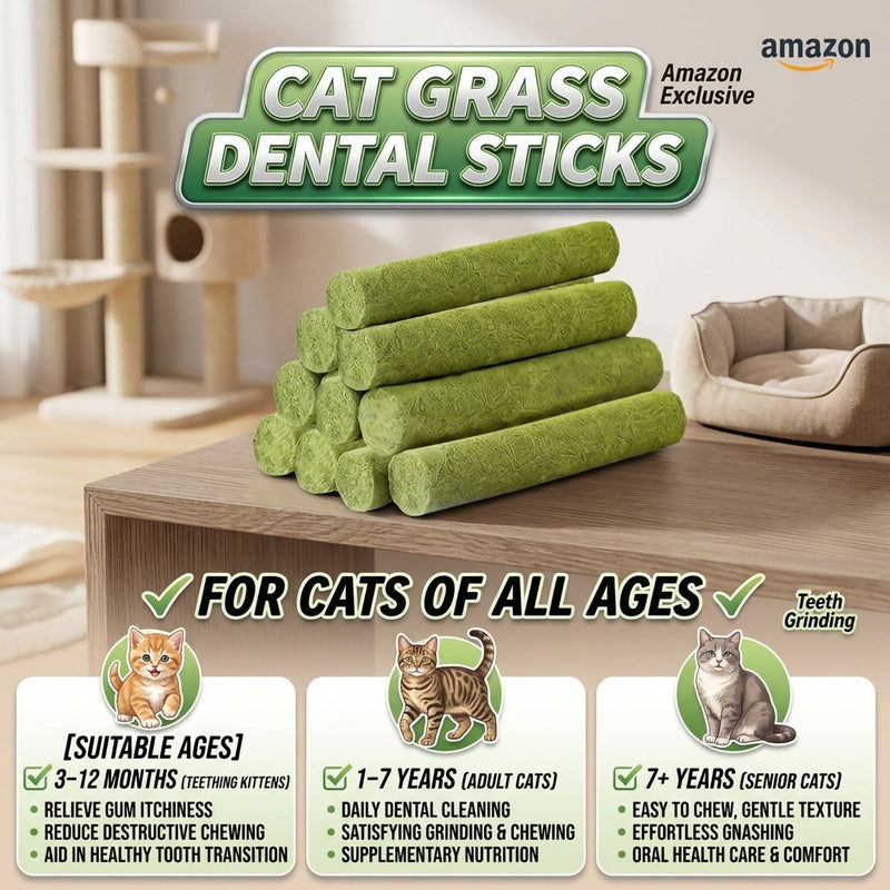 90g/3.17oz Cats Treat Cat Grass Teething Stick Kitten Toy Catnip Toys for Hairball Removal Freeze Dried Chew Dental Food for Indoor Kitty Lickable Edible Snack for Eliminate Fur Digestion Chicken 90g/3.17oz