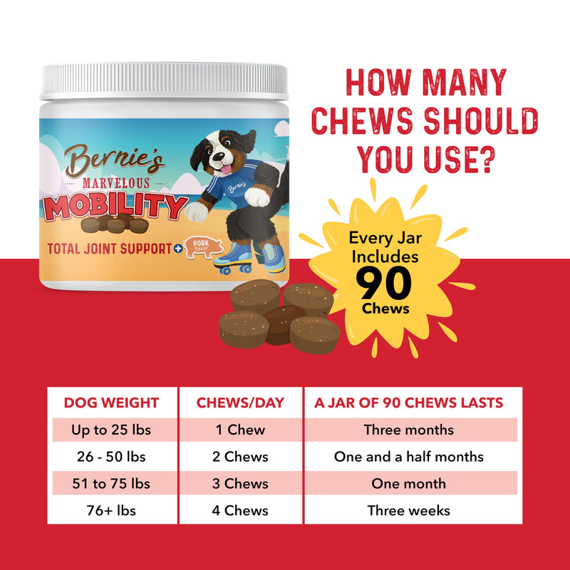 Bernie's Marvelous Mobility Dog Joint Support, 90 Chews 90 Count