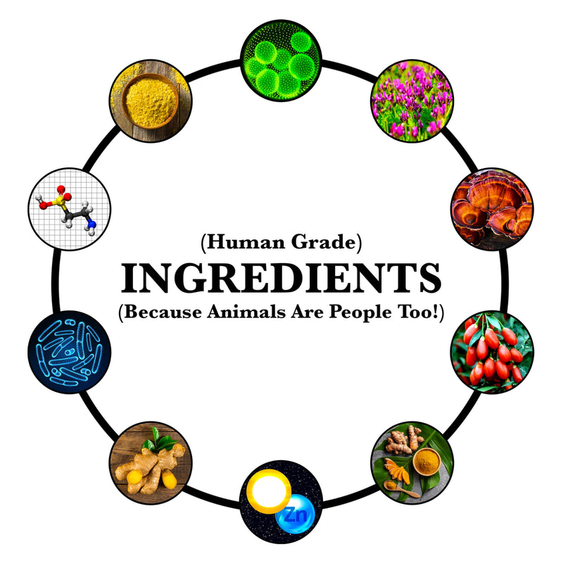 Anti-Aging & Immune Support | Organic, Human-Grade Ingredients | Medicinal Plants & Mushroom Extracts | Omega 3's, Antioxidants, Probiotics, Vitamins & Minerals | Plant-Based & Vegan