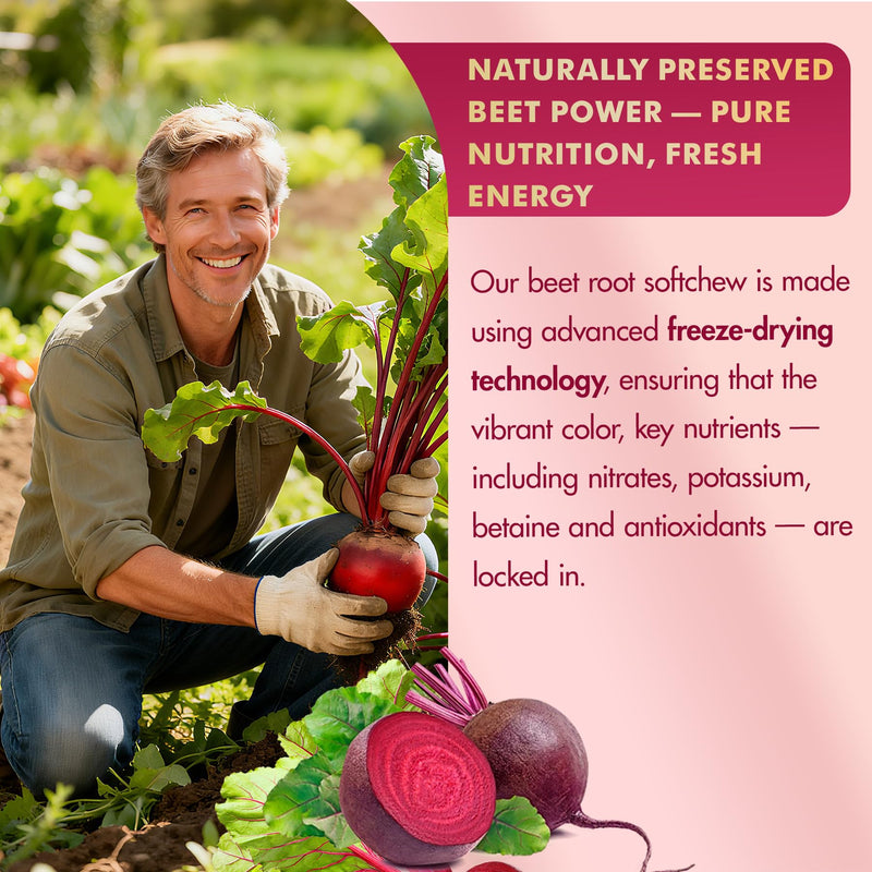 Super Beet Chews 1500mg, 5 IN 1 Beet Root Nitric Oxide Supplement, 60 Cts | Beet Root Gummies w/ Grape Seed, L-Citrulline, Vitamin B6 & B12 for Healthy Blood Circulation & Energy Boost, Sugar Free