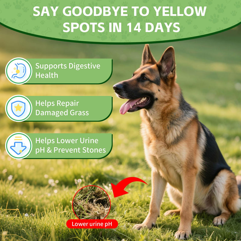 Cranberry Supplement for Dogs – Digestive Enzymes + Cranberry + DL Methionine –Pee Grass Spot Saver Caused by Dog Urine, Grass for Dogs, Dog Pee Green Grass Support, Lawn Spot Care Drops, 2 oz