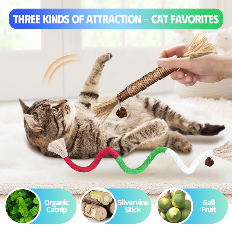 4 Pcs Cat & Kitten Chew Toy, Cat Toys Chew Ropes and Silvervine Cat Chew Sticks with Refillable Natural Catnip Bag for Teeth Cleaning, Safe Interactive Cat Toys for Indoor Cats 4 Pack - BeesActive Australia
