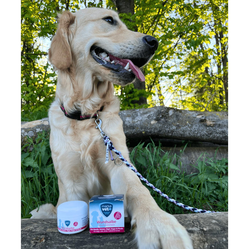 Marsavet+ 30ml wound ointment for dogs, cats, birds, rodents, horses and more. Zinc, propolis, hyaluronic acid and D-panthenol - promotes healing and prevents skin inflammation. Premium quality. - BeesActive Australia