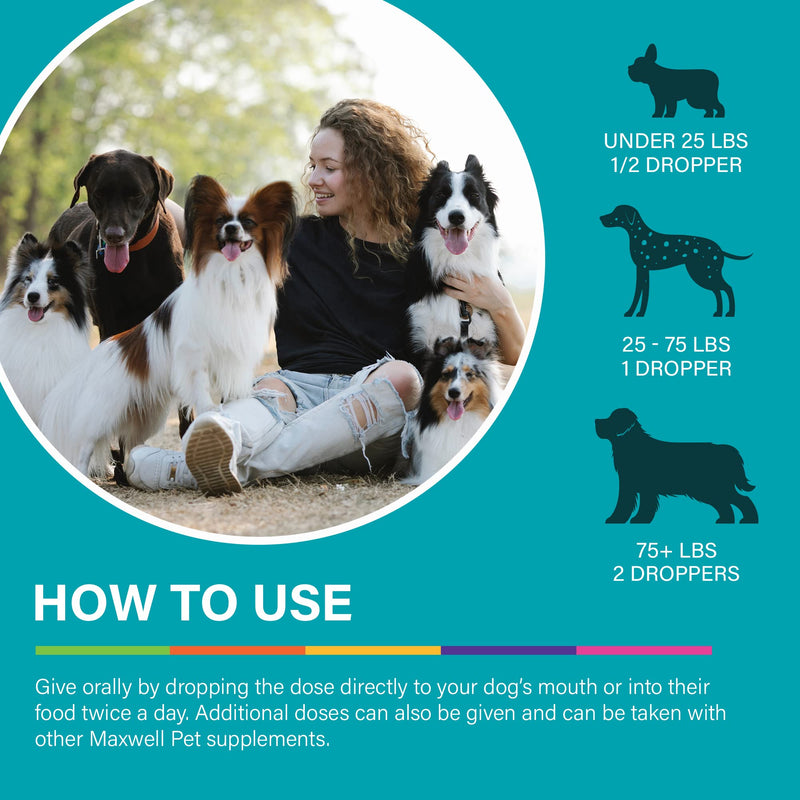 MaxWell Pet by Dr.Garber – Hip & Joint for Dogs - The First Natural Biotherapy Supplement Drops to Support and Restore Hip & Joint Health, Repair and Ease Hip & Joint Pain, & Improve Mobility – 90ml - BeesActive Australia