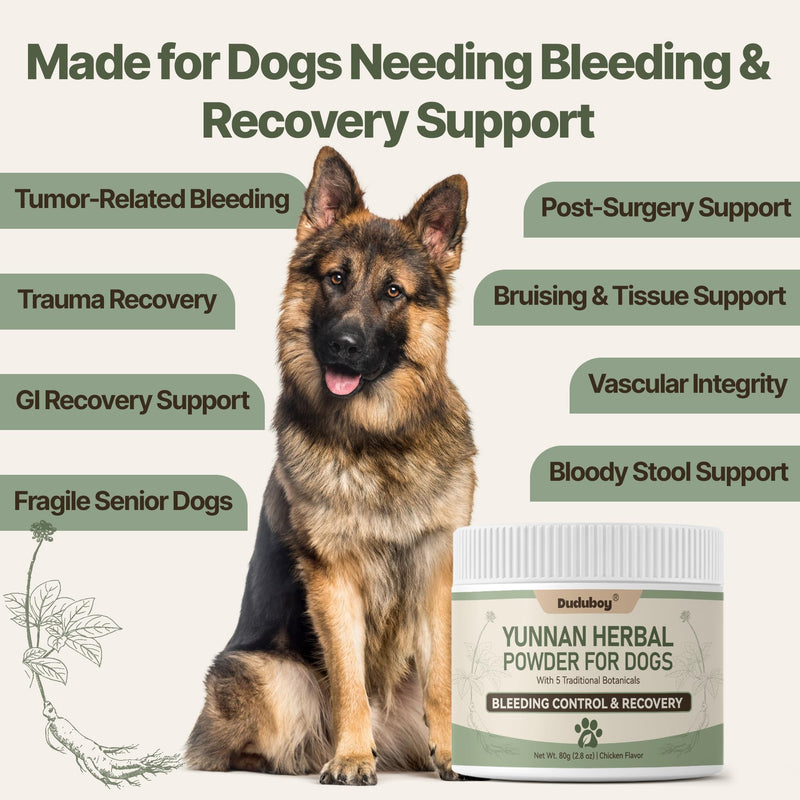 Yunnan Sanqi Powder for Dogs, Natural Herbal Blood Support for Hemangiosarcoma, Hemoabdomen, Pericardial Effusion, Ulcer-Related Bleeding, Bloody Stools, Recovery Support, Quick Stop Bleeding for Dog